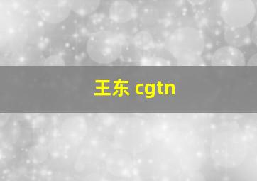 王东 cgtn